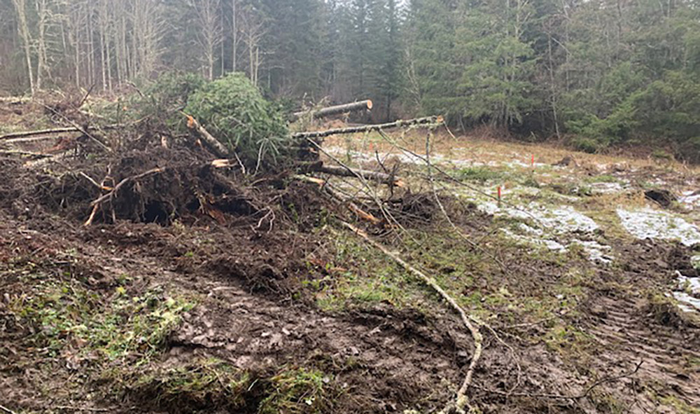 Eatonville Home Site Development