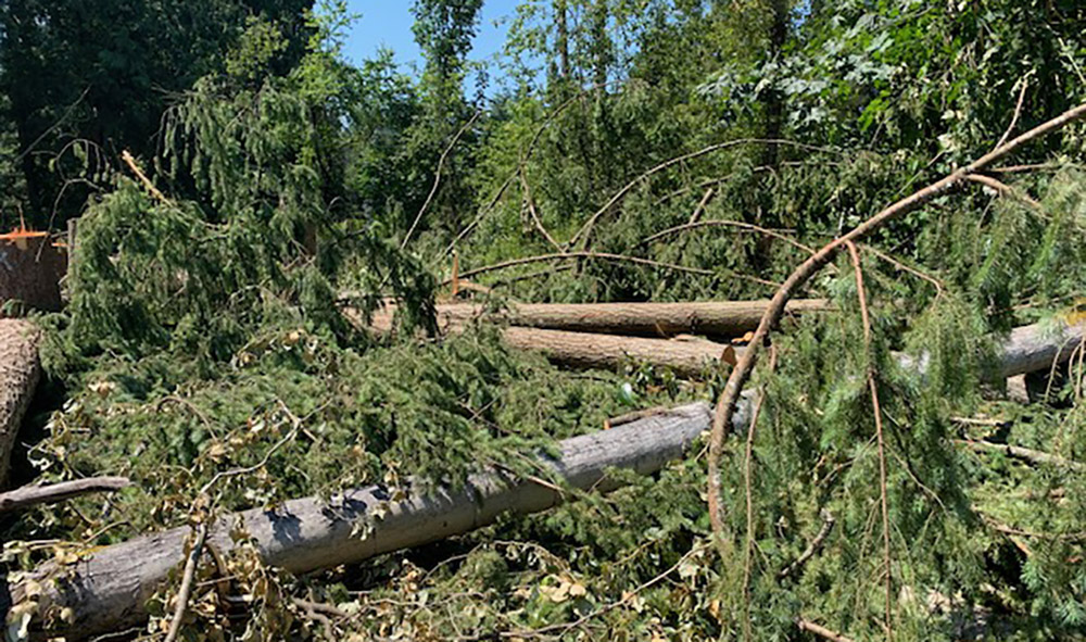 Sumner Land Clearing